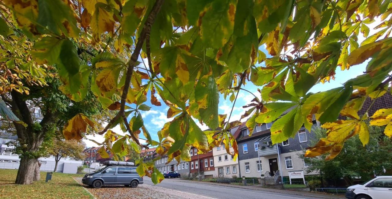 Kastanienblick Sankt Andreasberg Exterior foto